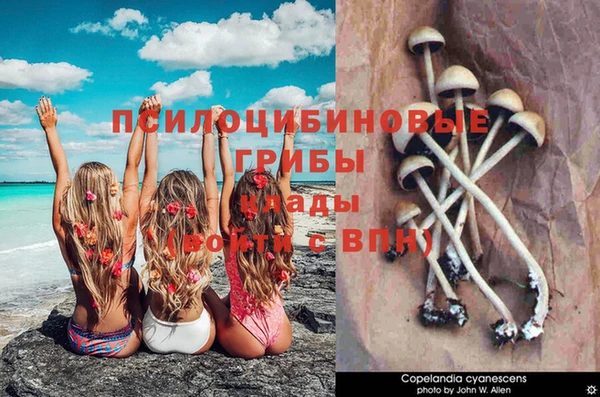 спайс Армянск