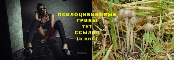 спайс Армянск