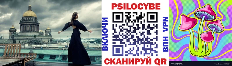 Псилоцибиновые грибы мицелий Зверево